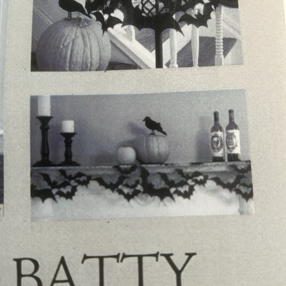 Going Batty window, doorway w rod slot. - Picture 3 of 6